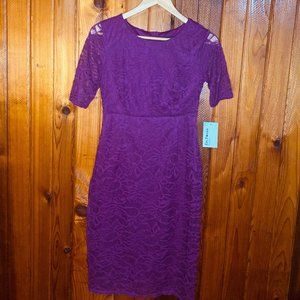 Enfocus Studios Fuchsia Lace Dress size 6